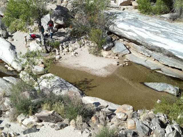 Pond at Sabino Canyon